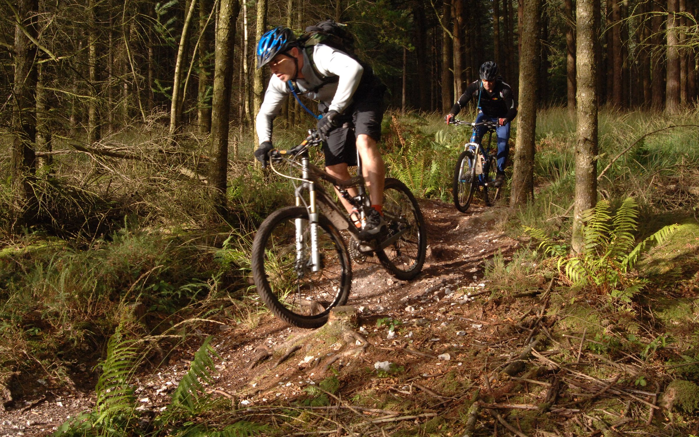 Extreme mountain biking store trails